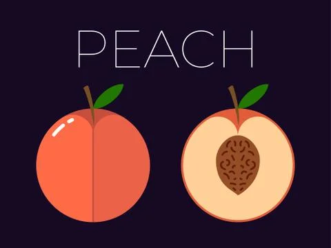 Vector of Peach and sliced half of Peach on dark background Stock-Illustration