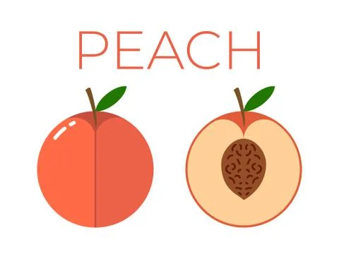 Vector of Peach and sliced half of Peach on white background Stock Illustration