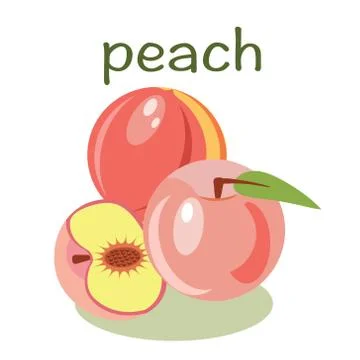 Vector peach isolated  fruit vector illustration Stock Illustration
