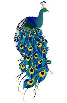 Vector peacock Illustrazione stock