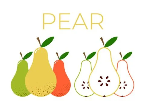 Vector of Pear and sliced half of Pear on white background Stock Illustration