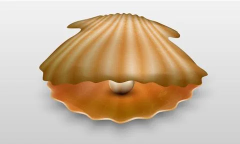 Vector pearl in shell Stock Illustration