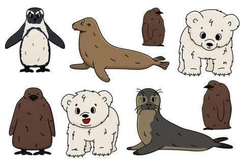 Vector Penguin, king penguin chick, fur seal, polar bear cub, small Common se Stock Illustration