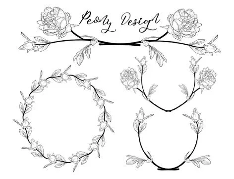 Vector Peony Flower Design. Divider, Frame and Wreath Stock Illustration