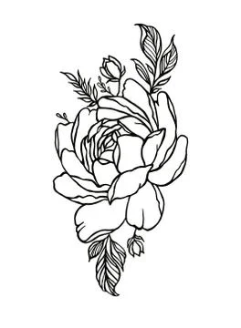Vector peony rose flower Stock-Illustration