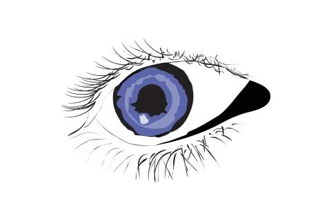 Vector of persons blue eye Stock Illustration