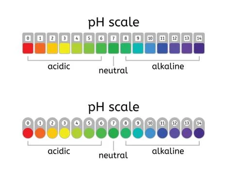 Vector ph scale Stock Illustration