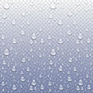 Vector Photo Realistic Image Of Raindrops Or Vapor Trough Window Glass Stock Illustration