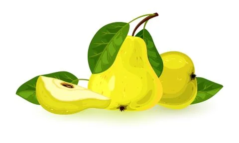 Vector picture shows ripe pears with slices and leaves Stock Illustration