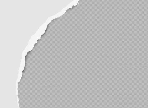 Vector piece of realistic gray torn paper with shadow on transparent background. Stock Illustration
