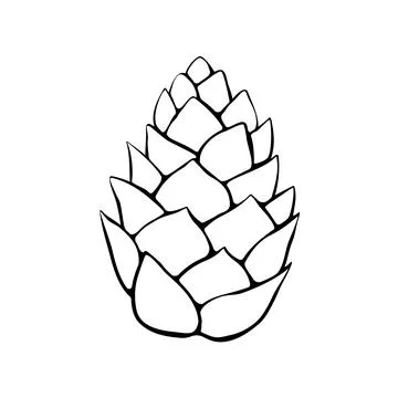 Vector pine cone in doodle style. Hand drawn outline illustration, clipart, d Illustrazione stock