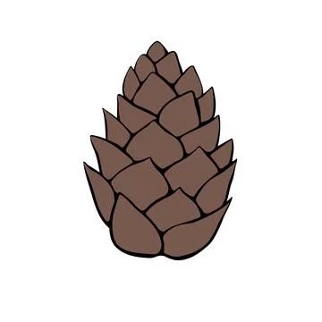 Vector pine cone. Hand drawn outline illustration, clip art, design element i Illustrazione stock