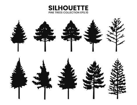 Vector Pine Tree Silhouettes  Nature Illustration Stock Illustration