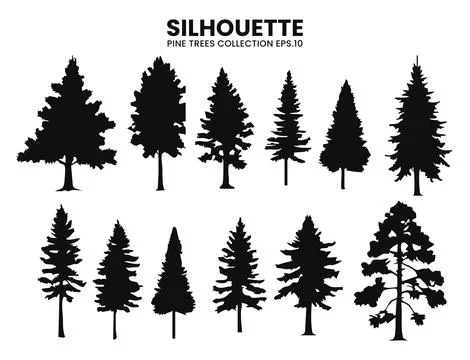 Vector Pine Tree Silhouettes  Nature Design Stock Illustration