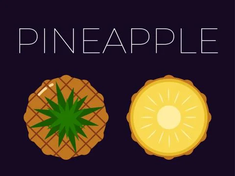 Vector of Pineapple, Ananas and sliced half of Pineapple, Ananas on dark Stock Illustration