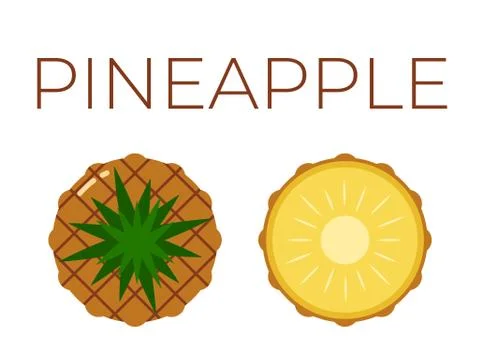 Vector of Pineapple, Ananas and sliced half of Pineapple, Ananas on white Stock-Illustration