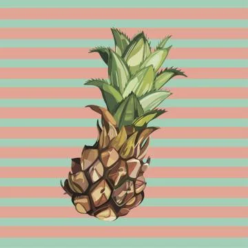 Vector Pineapple hand drawn sketch. Watercolor vector tropical food illustration Stock Illustration