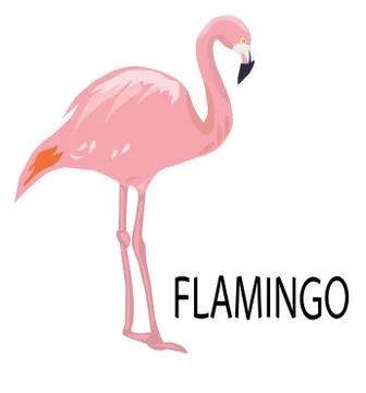 Vector pink flamingo Stock Illustration