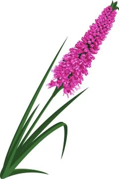 Vector pink flower Stock Illustration
