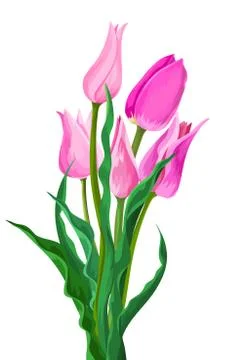 Vector of pink flower with leaves. Stockillustratie