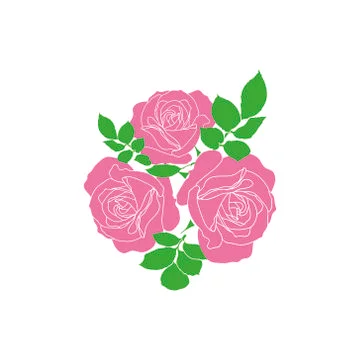 Vector pink roses - pattern for continuous replicate on white background. 스톡 일러스트