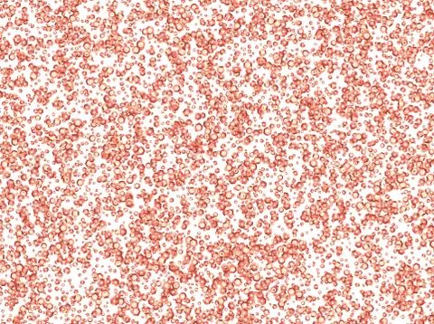 Vector pink sequins on white background Stock Illustration