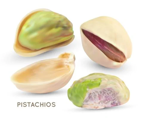Vector pistache nuts without shell. Realistic 3d kernel. Green pistachio isol 스톡 일러스트