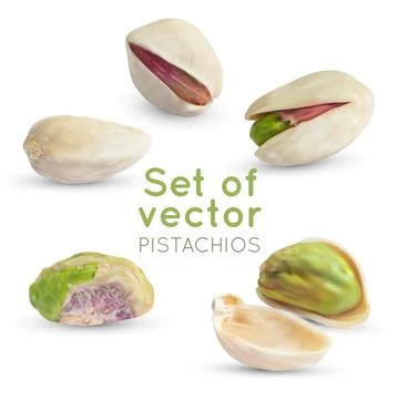 Vector Pistachio kernel. Realistic green nuts background. Pistachios nuts Stock Illustration
