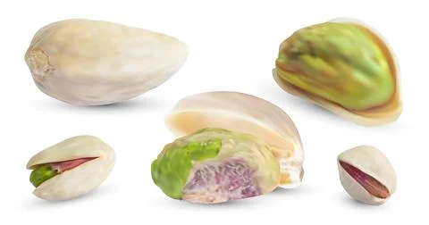 Vector pistachios nuts and dry shell. Realistic 3d kernel. Salted pistachio i Stock Illustration