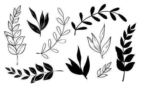 Vector plants and branches with leaves set. Hand drawn botanical illustration Stock Illustration