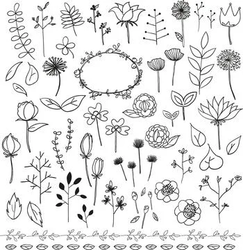 Vector plants flowers digital doodle hand drawn illustration collection set Illustrazione stock