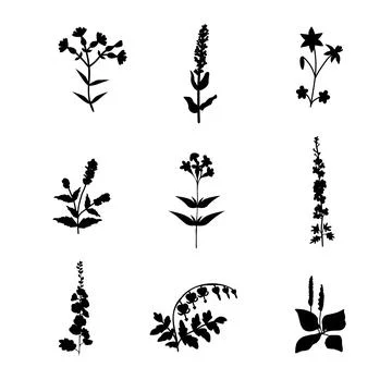 Vector plants set Stock Illustration