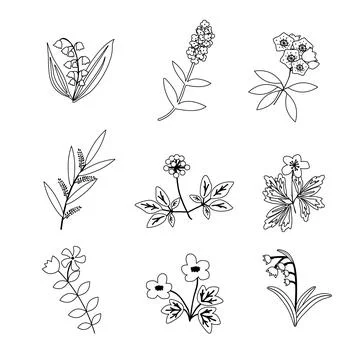 Vector plants set Stock Illustration
