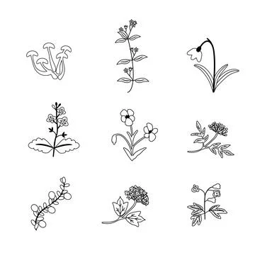 Vector plants set Stock Illustration