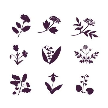 Vector plants set Stock Illustration