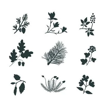 Vector plants set Stock Illustration