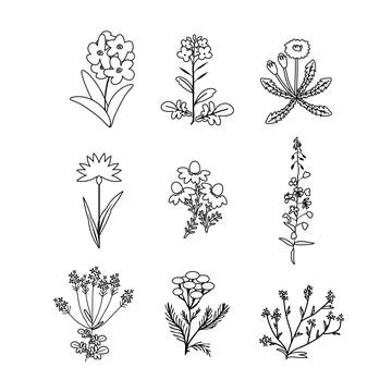 Vector plants set Stock Illustration