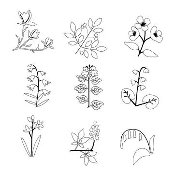 Vector plants set Stock Illustration