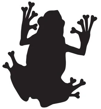 Vector Poison Dart Frog Stock Illustration