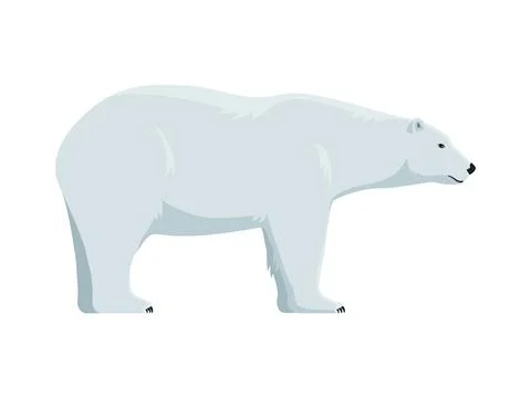 Vector polar bear Stock Illustration