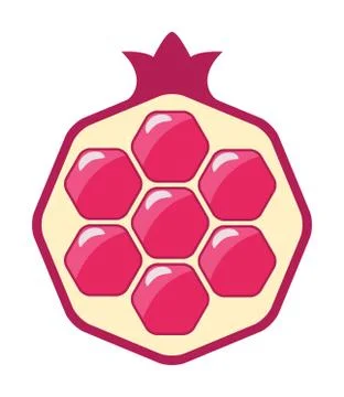 Vector pomegranate cut icon Stock Illustration