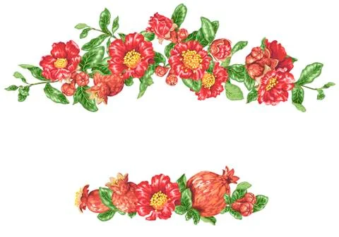 Vector pomegranate headline border with blooming flowers and fruits Stock Illustration