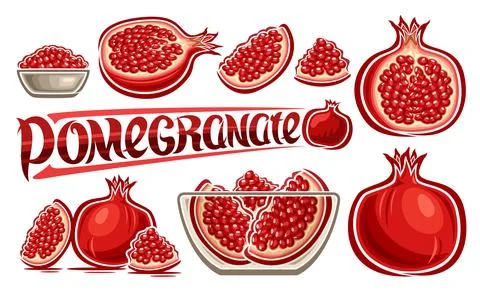 Vector Pomegranate Set Stockillustratie