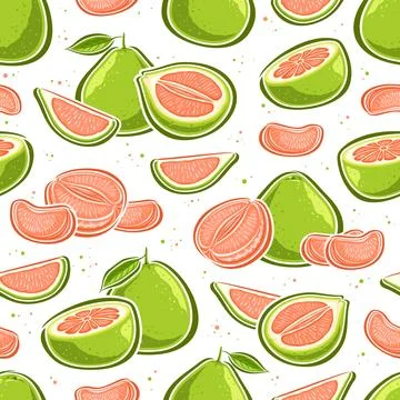 Vector Pomelo seamless pattern Stock Illustration