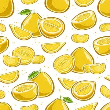 Vector Pomelo seamless pattern Illustrazione stock