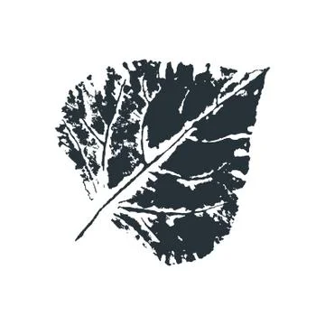 Vector poplar Leaf print. Inkprinted leaves of the trees on paper Stock Illustration