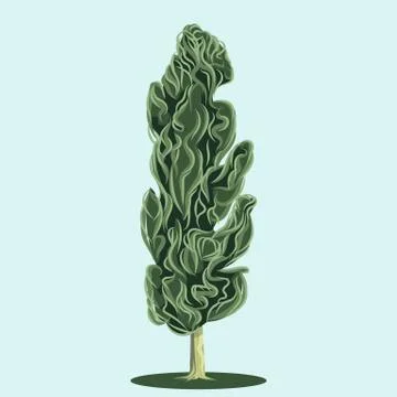 Vector poplar tree isolated on light blue background Stock-Illustration