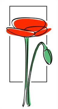 Vector poppy on a white background, outline, imitation of watercolor. Stock Illustration