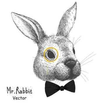 Vector portrait of a rabbit Stock Illustration
