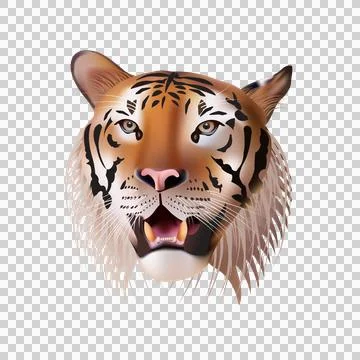 Vector Portrait of a Tiger. Stock Illustration